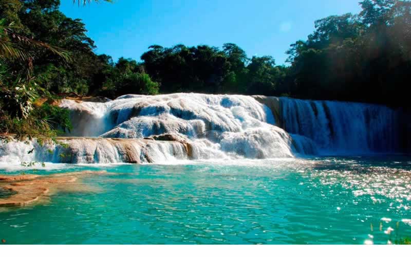 tour_agua_azul_misolha_zapal_desde_sc_170130743700.jpg